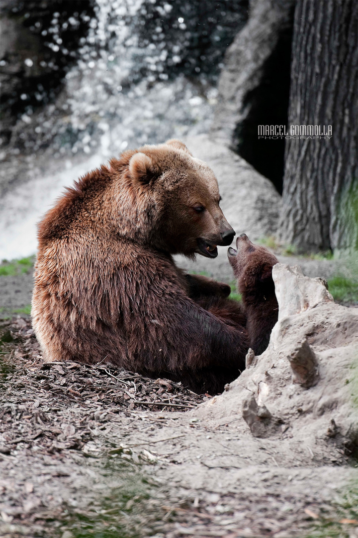 Come play with me mummy