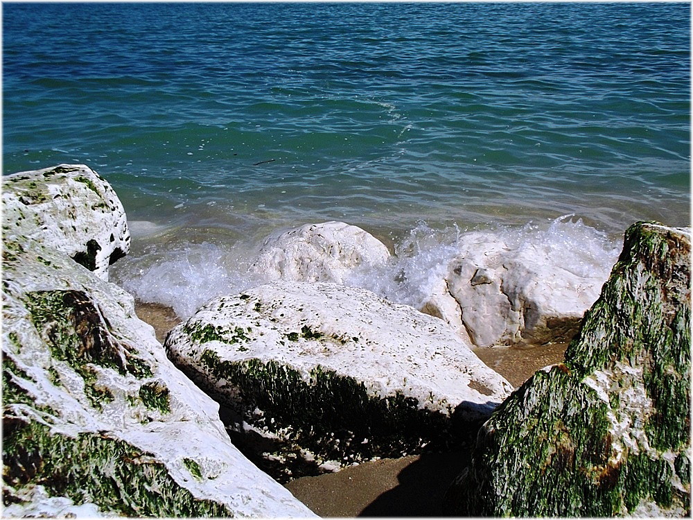 Come può lo scoglio.......