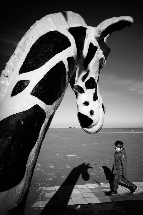 Come raggiungere pari altezza con una giraffa