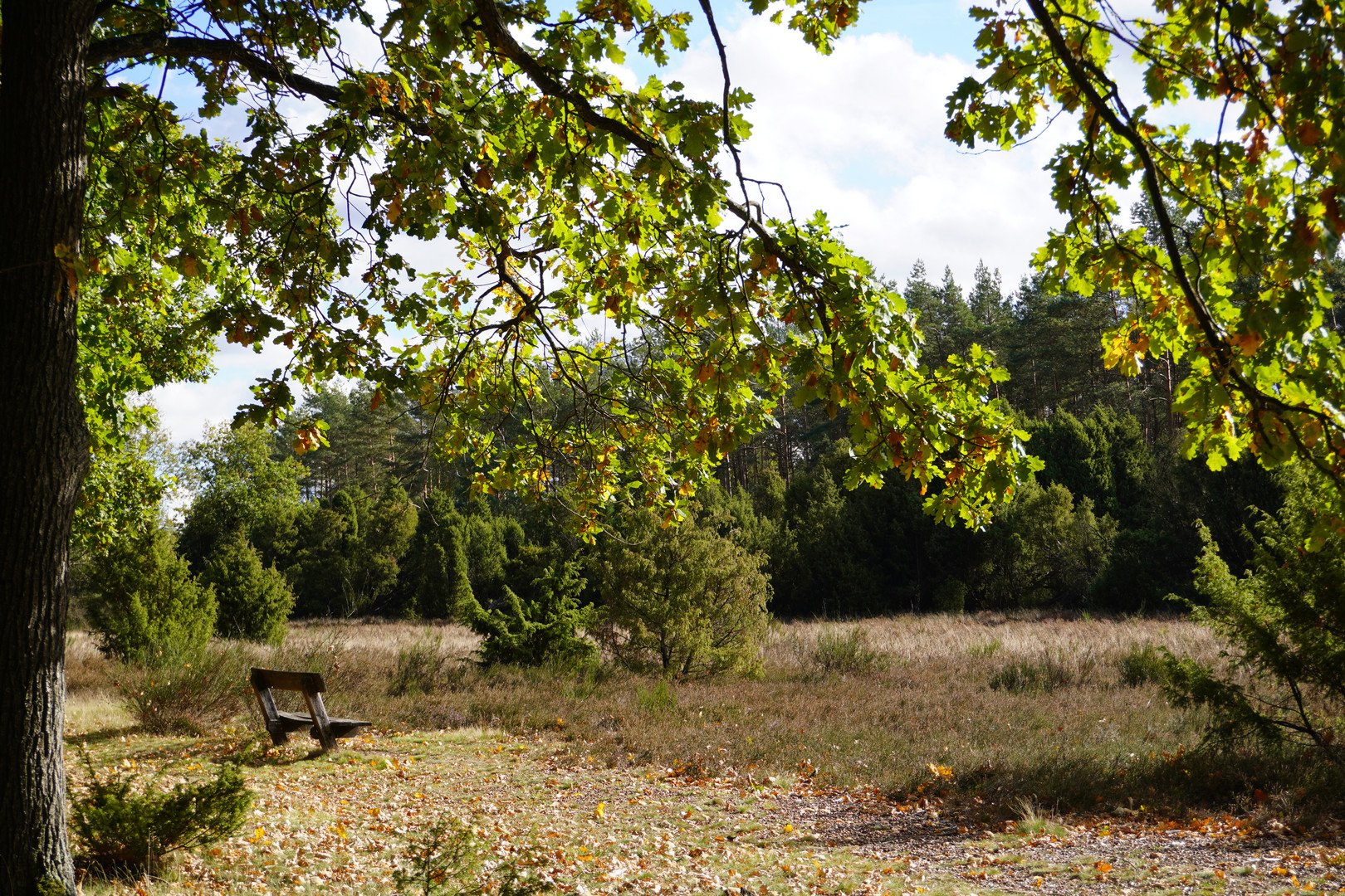 come sit with me