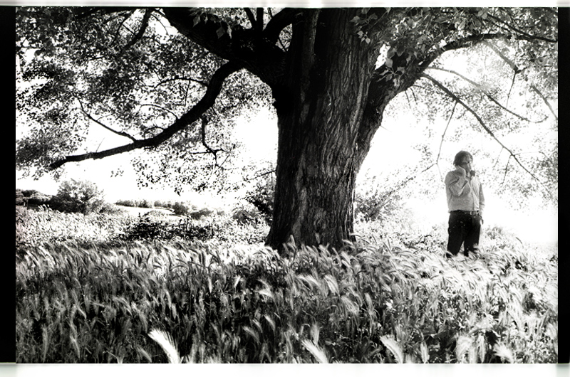 come una carezza (Roma, parco della Caffarella, mag2008)