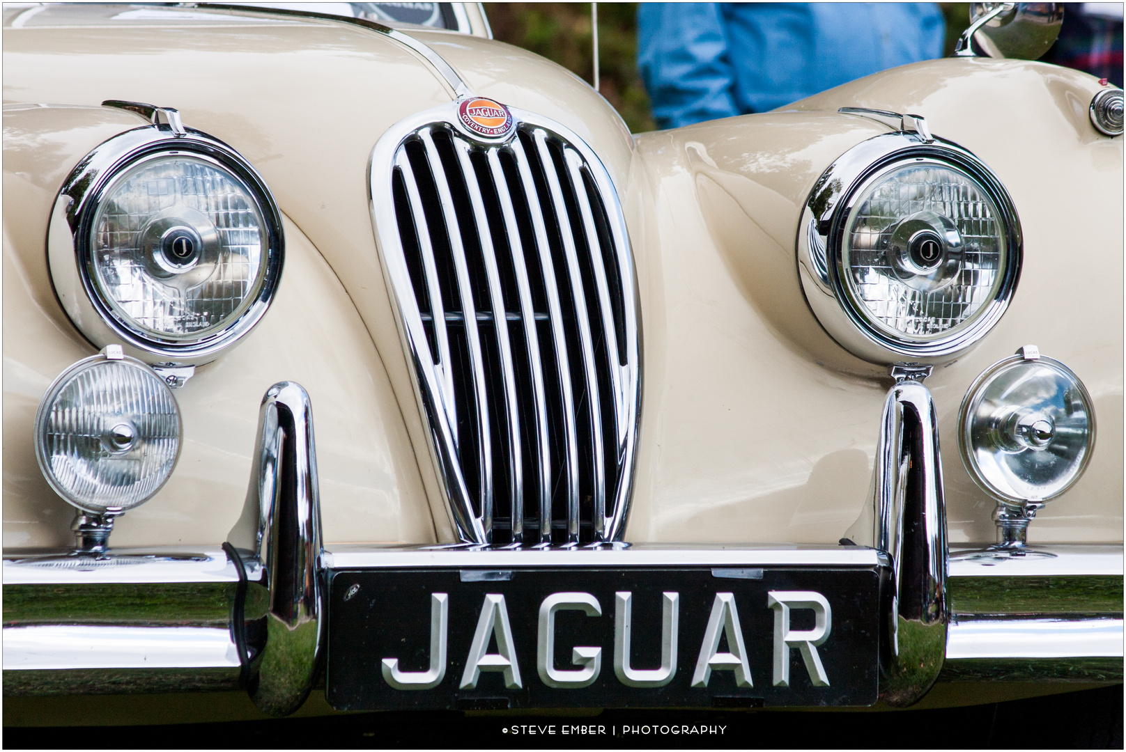 Comely Cat at a Car Show