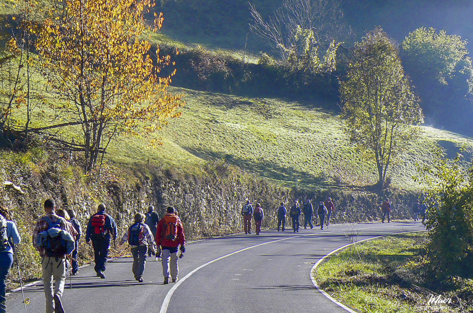 Comenzamos la ruta con la escarcha de la mañana en los prados. Somiedo. Asturias.2007.