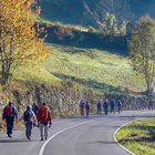 Comenzamos la ruta con la escarcha de la mañana en los prados. Somiedo. Asturias.2007.