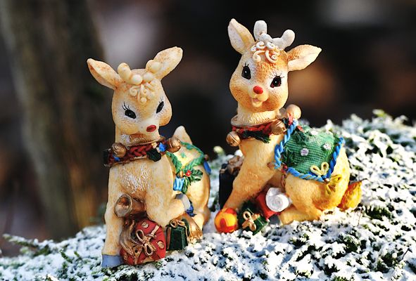 Comet, Cupid, Donner, Blitzen, Dasher, Dancer, Prancer, Vixen und natürlich Rudolph... 