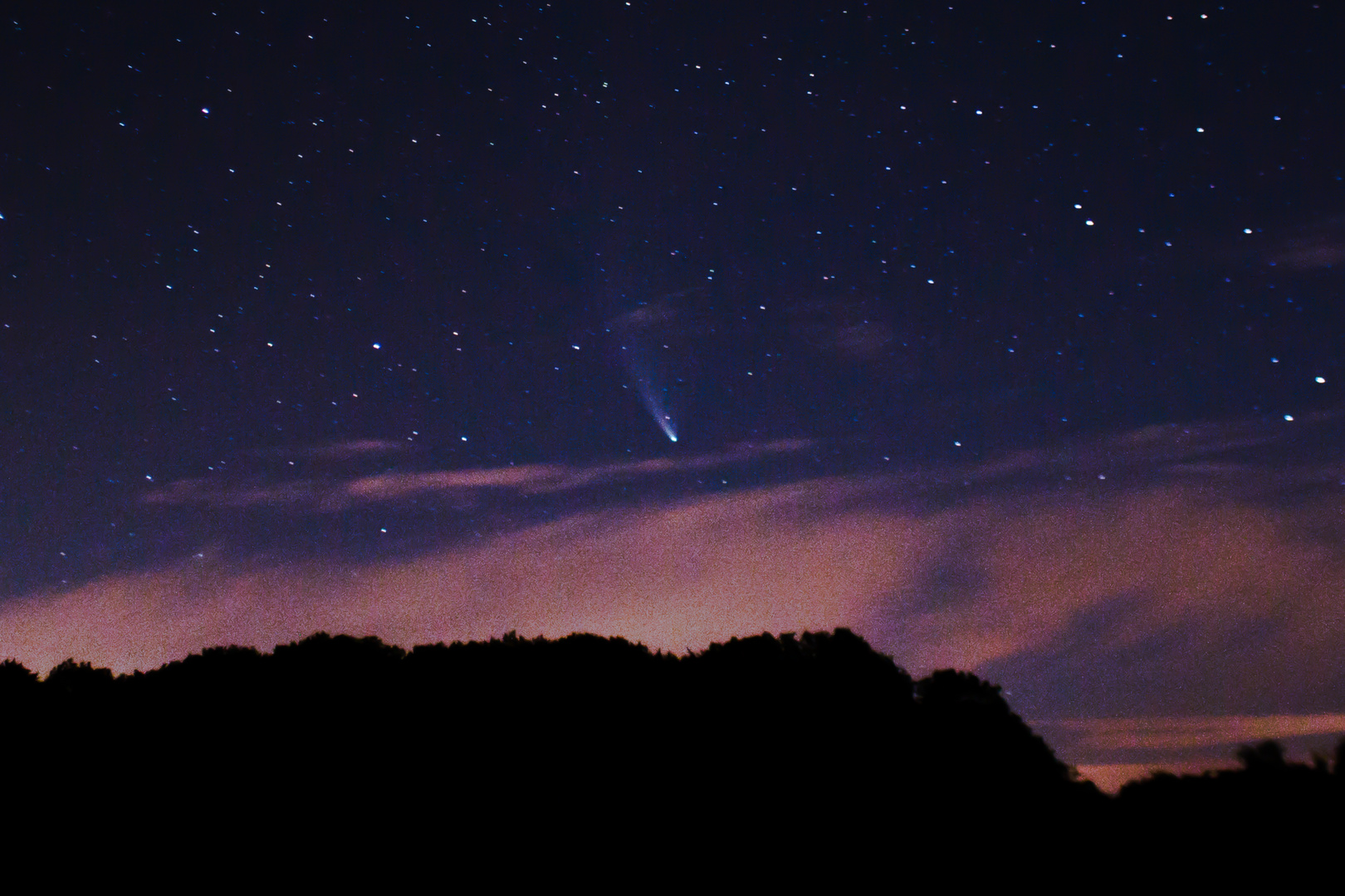 Comet NEOWISE