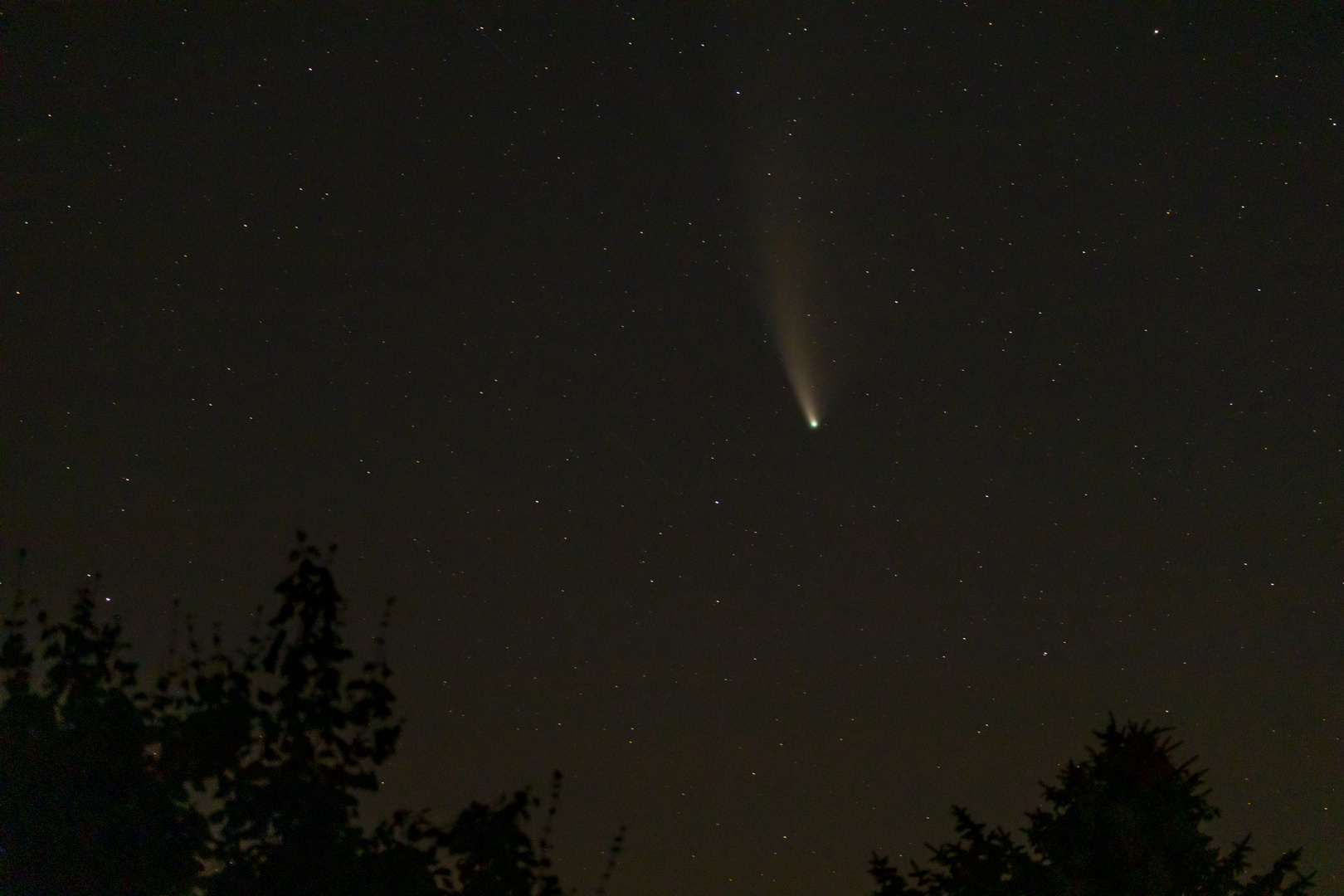 Comet Neowise