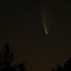 Comet Neowise