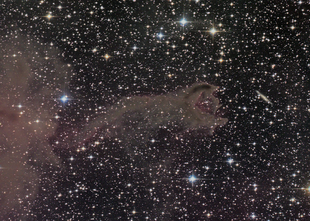 Cometary globule im Sternbild Puppis