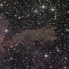 Cometary globule im Sternbild Puppis