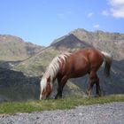 comida sana y pura de andorra