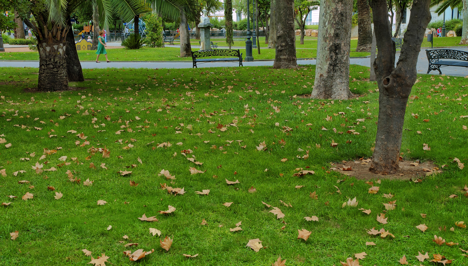 COMIENZA EL OTOÑO EN CÓRDOBA