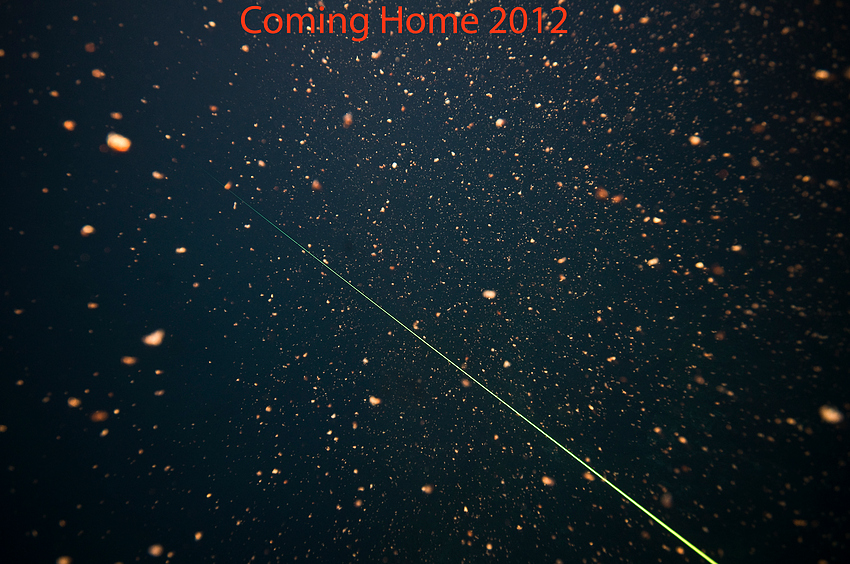 Coming Home 2012