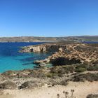 Comino