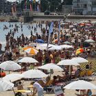 "comme des sardines" plage des sables d'olone juillet 2010