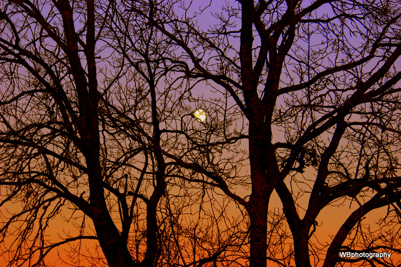 comme le souffle d'une pleine lune