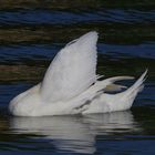 comme les voiles d'un bâteau