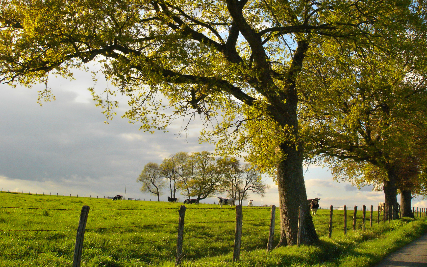 Comme un air de printemps