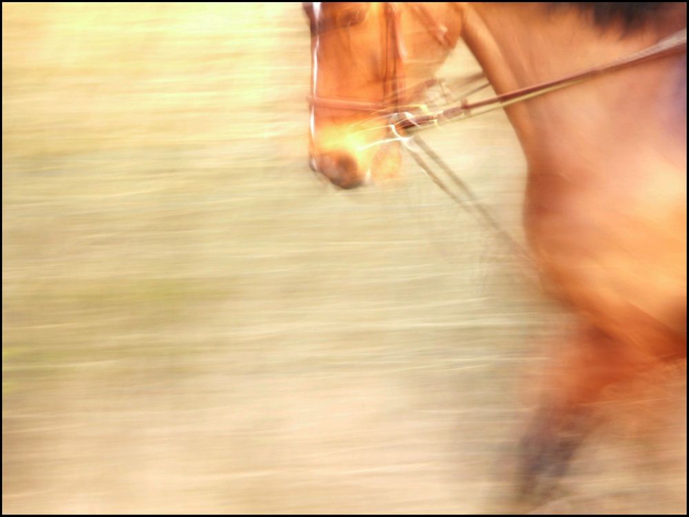 Comme un air de puissance by Vermeille 