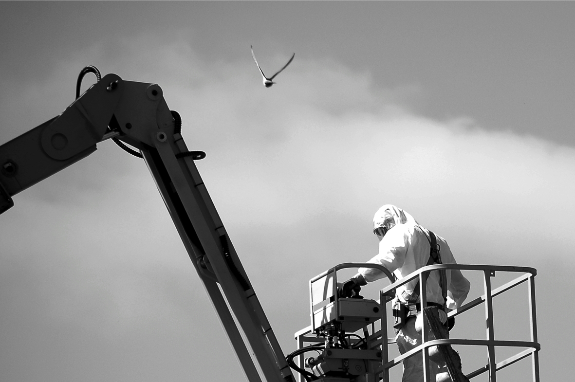 comme un oiseau... en cage