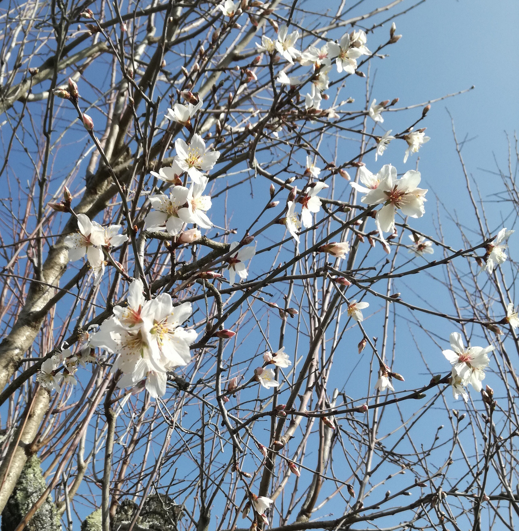 Comme un petit air de printemps !