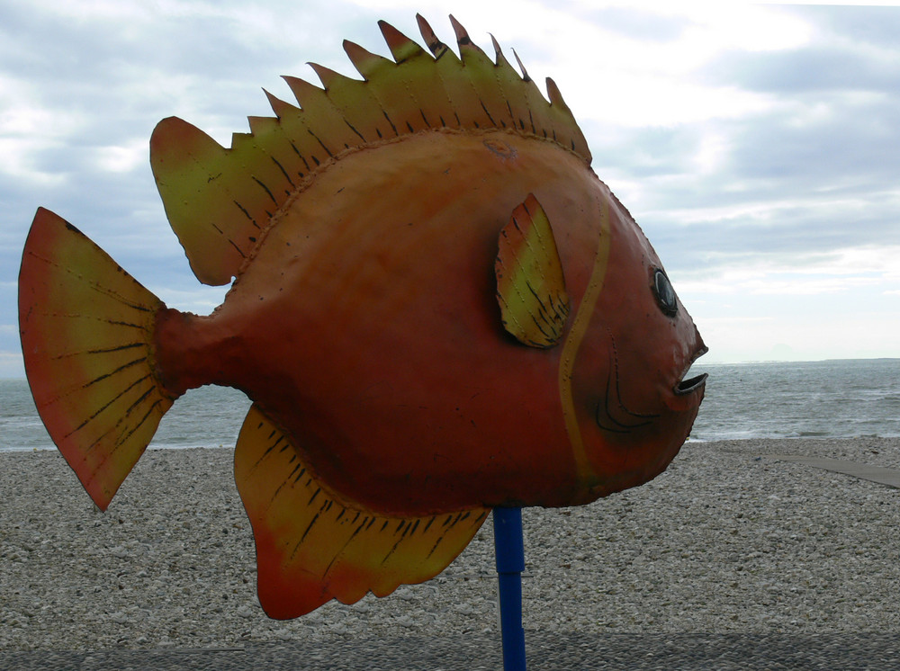 Comme un poisson dans l'eau ......(bientôt, la mer monte )