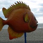 Comme un poisson dans l'eau ......(bientôt, la mer monte )