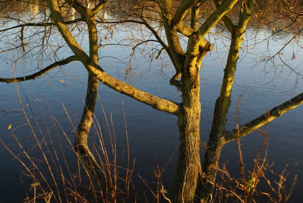 Comme un reflet sur ton âme