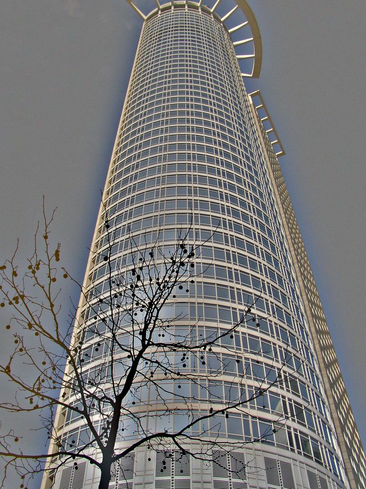 Commerzbank Tower Frankfurt/Main
