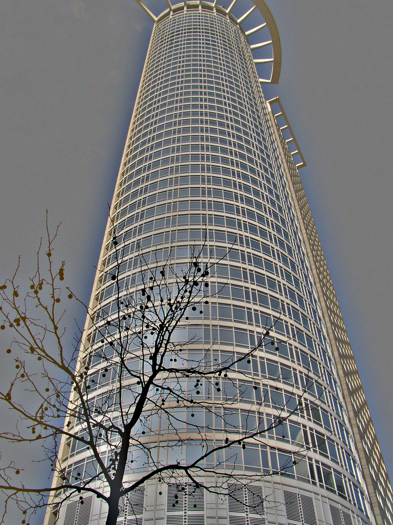 Commerzbank Tower Frankfurt/Main