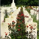 Commonwealth War Graves