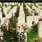 Commonwealth War Graves II