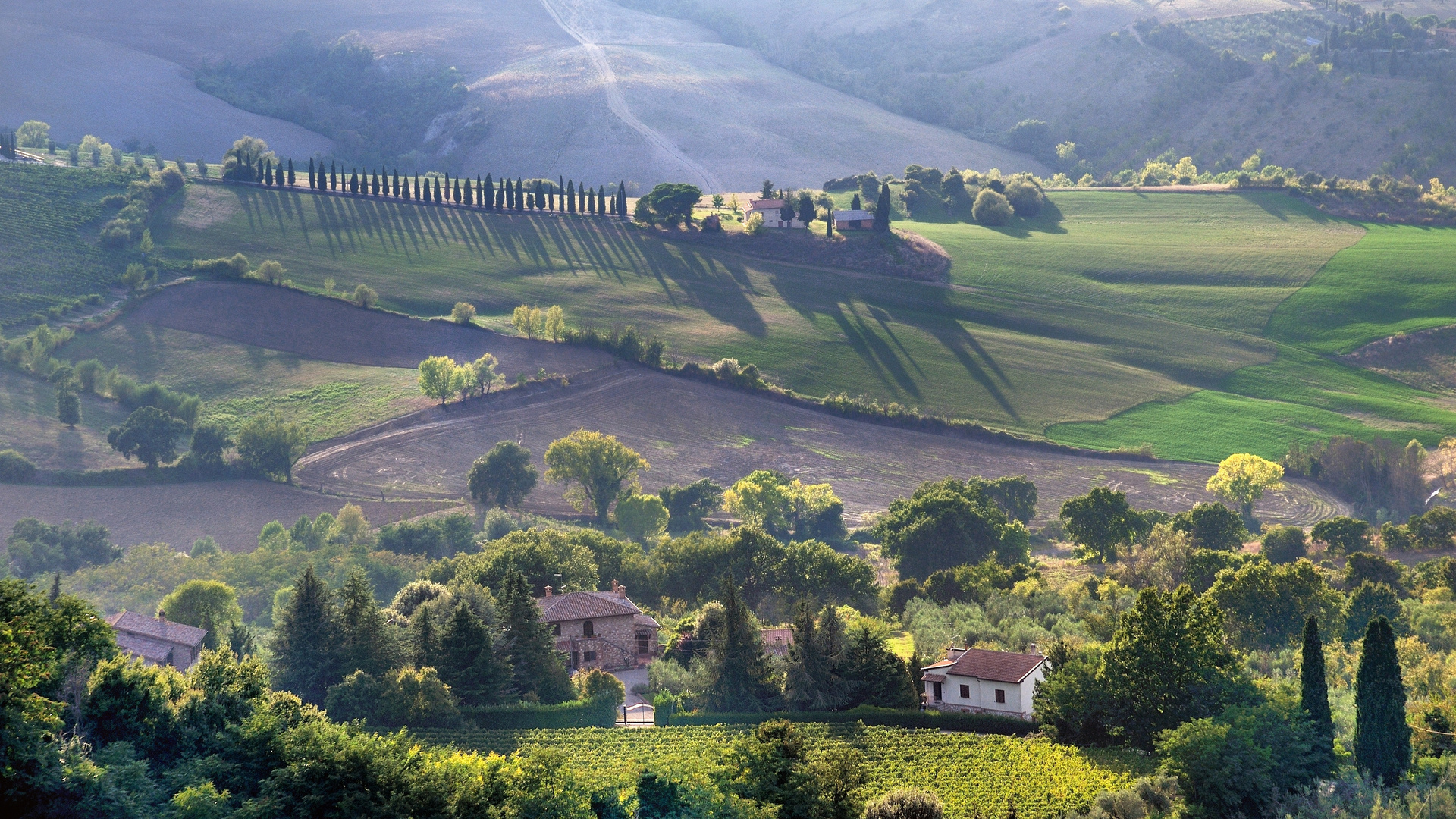 *Commune di Montepulciano*