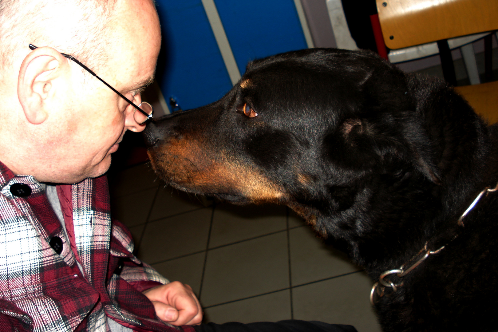 communications entre maître et chien; Pawel et son beauceron Oliver.