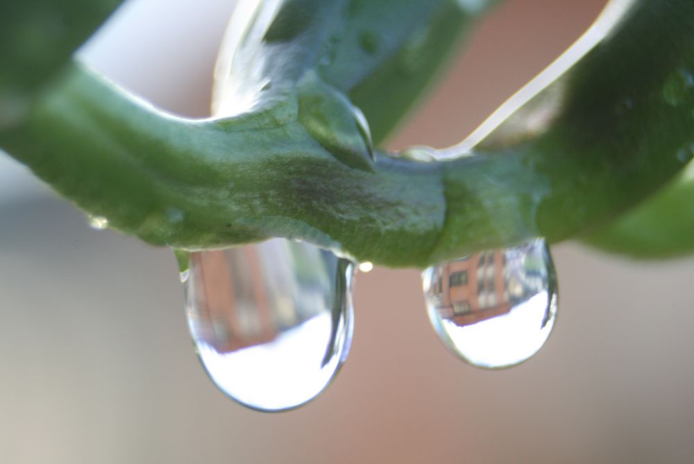 Como dos gotas de agua...