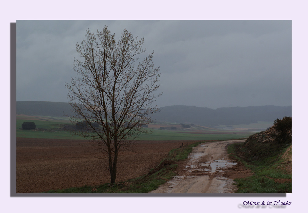 Como la lluvia...2