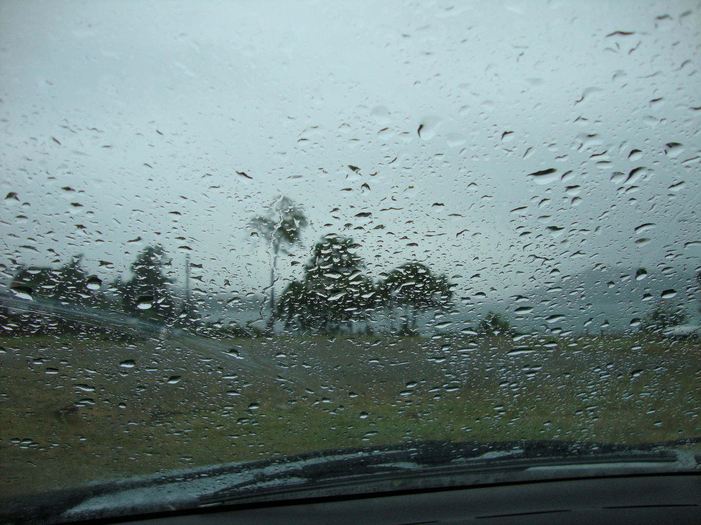 como llueve en Choshuenco!