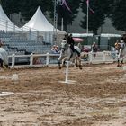 Como los caballitos del tío vivo. Saumur. Francia