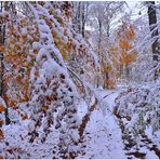 Cómo pesa la nieve (wie schwer der Schnee ist)