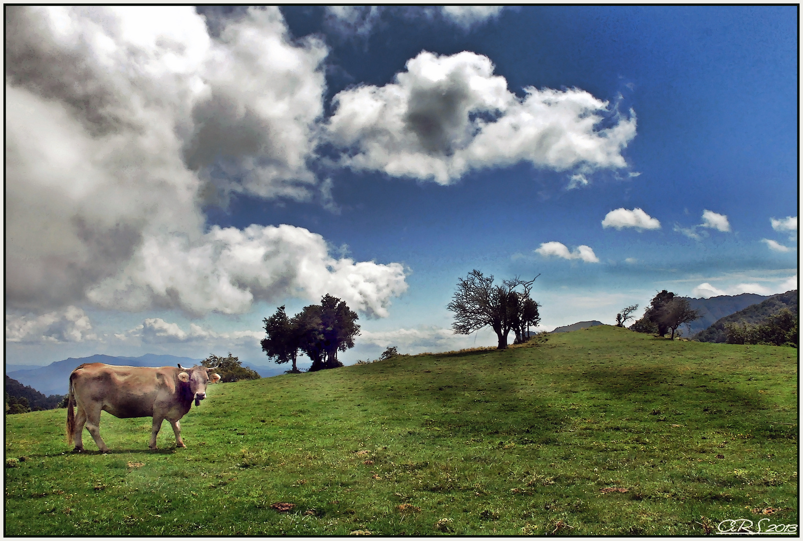 Como vaca con cencerro (Vall D´en Bas)