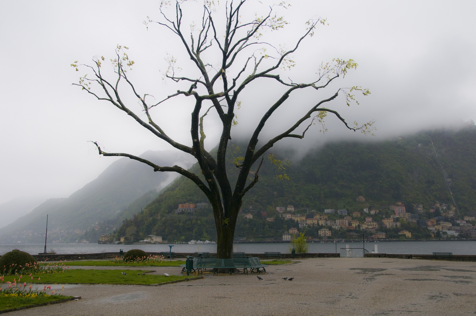 Como, vor der Villa Gallia