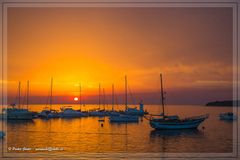 comp_2017 - 08 - 01-04 Porec - _DM37567