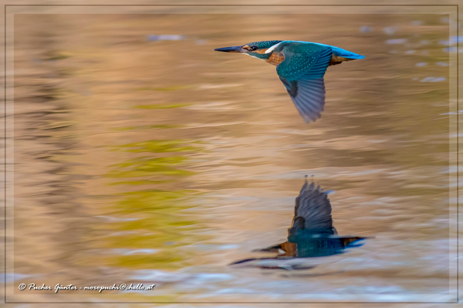 comp_2017 - 11 - 06 Wasserpark - _DM36227-Bearbeitet-2