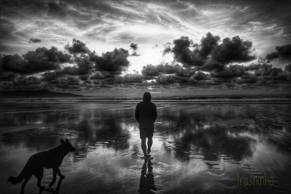 Compañeiros de viaxe.