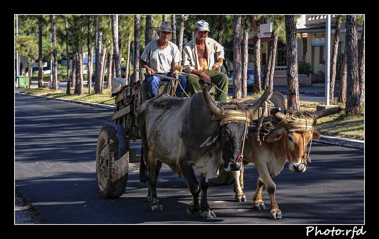 Compañeros