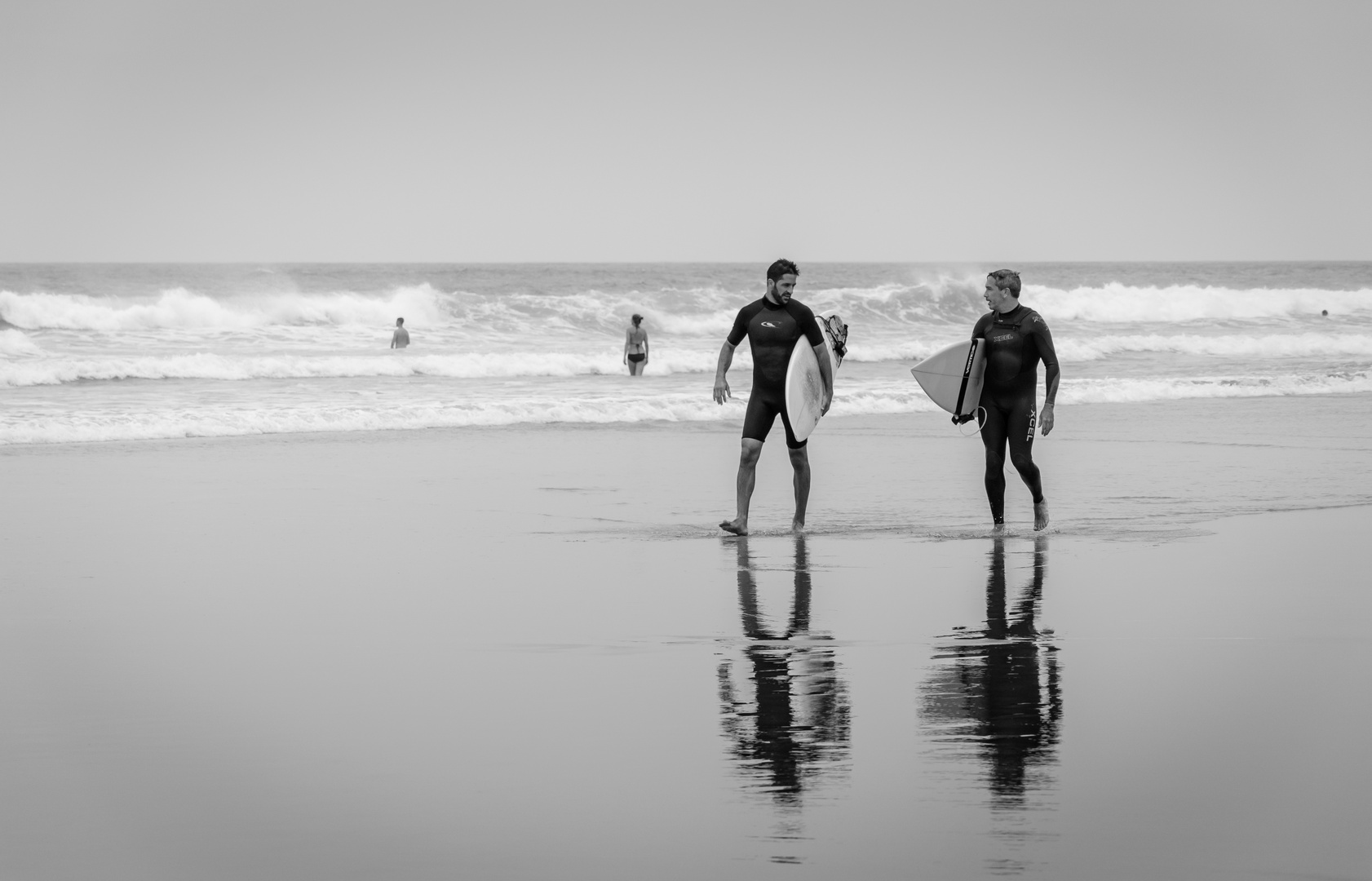 Compañeros de olas