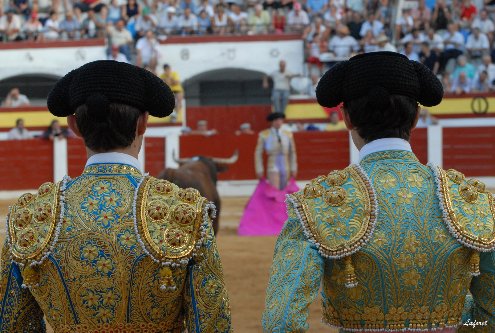 Compañeros mirando