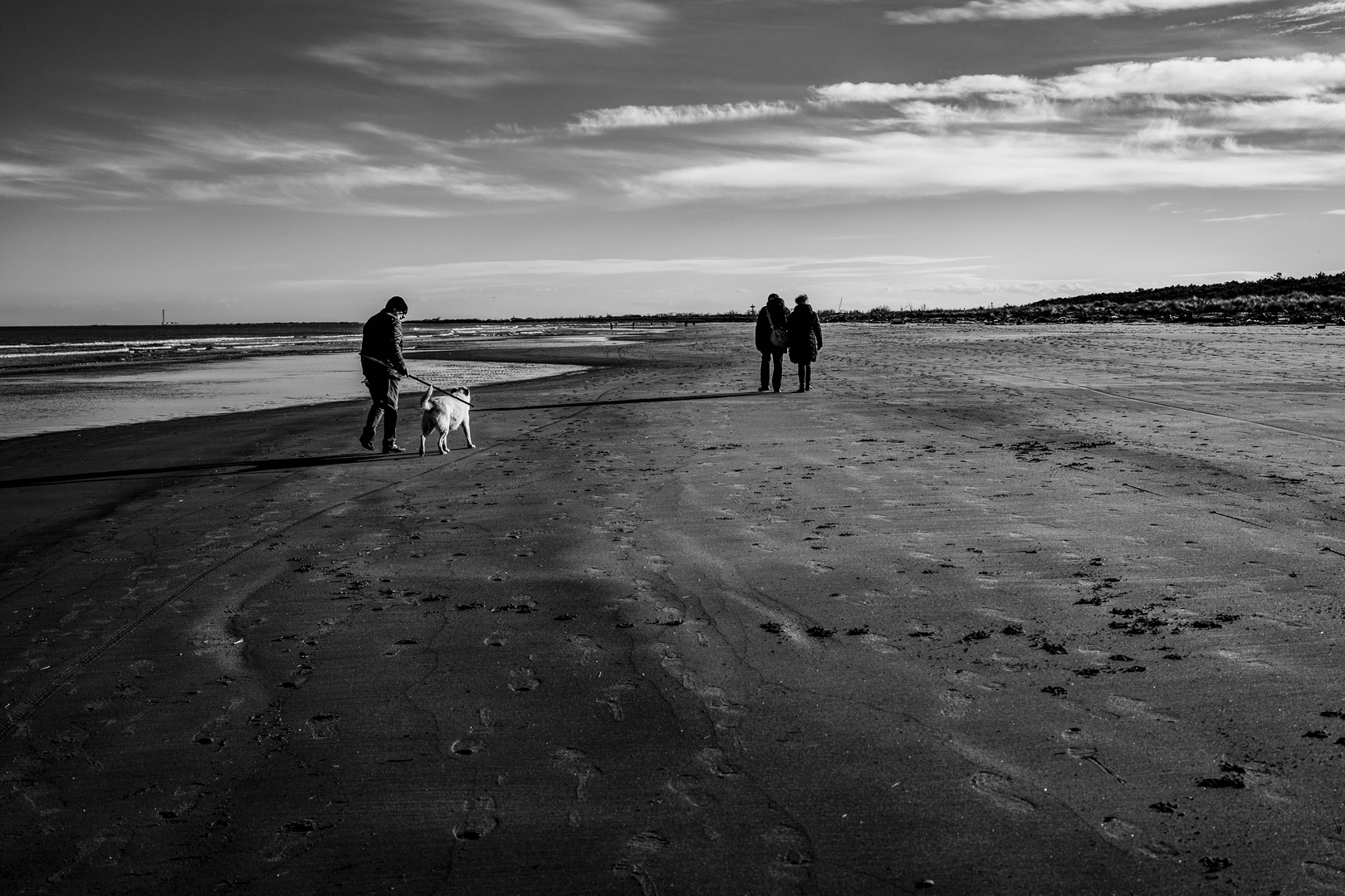 compagni di viaggio