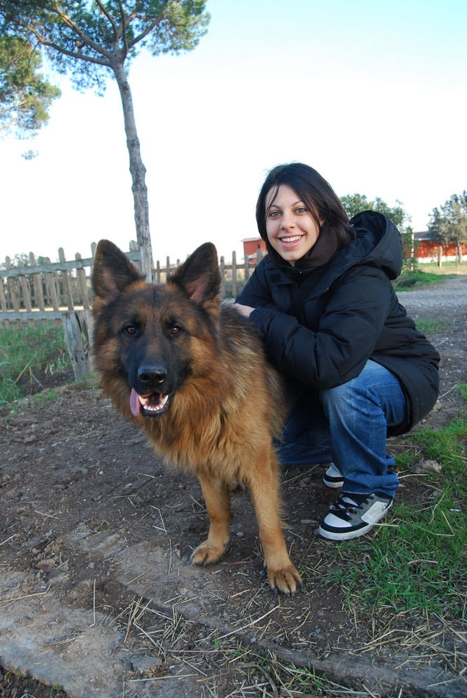 compagno di giochi di un pomeriggio d'inverno