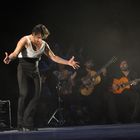 Compania Flamenca Antonio Andrade-01